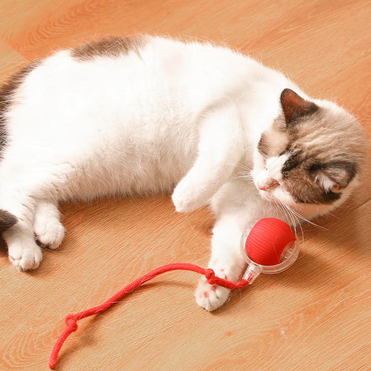 🎊Achetez 2 et obtenez 20% de réduction🐱🐶Boule roulante automatique intelligente pour animaux de compagnie