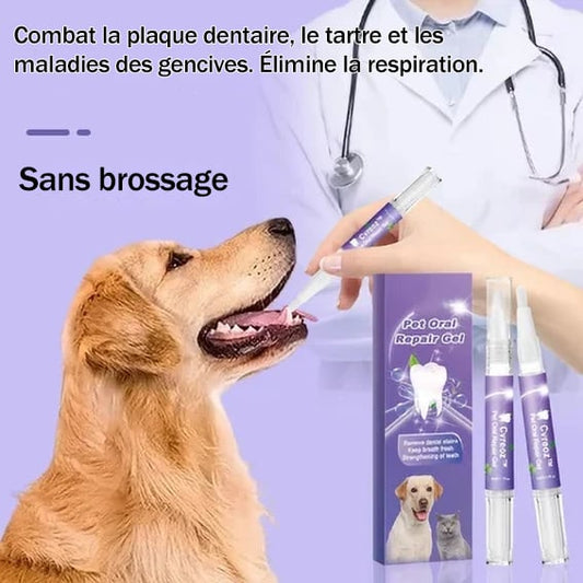 ACHETEZ 1, OBTENEZ 1 GRATUIT AUJOURD'HUI🌈Gel de réparation buccale pour animaux de compagnie