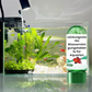 🔥49% de réduction🎁Comprimé Puissant de Purification de l'Eau pour Aquarium