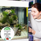 🔥49% de réduction🎁Comprimé Puissant de Purification de l'Eau pour Aquarium