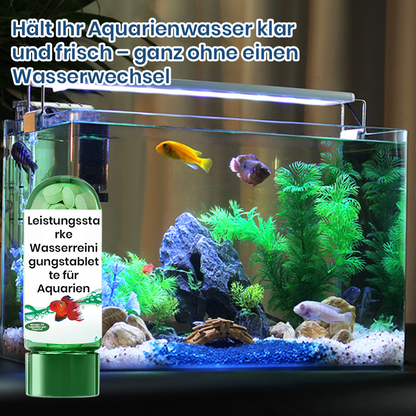 🔥49% de réduction🎁Comprimé Puissant de Purification de l'Eau pour Aquarium
